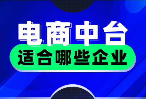 電商中臺適合哪些企業 